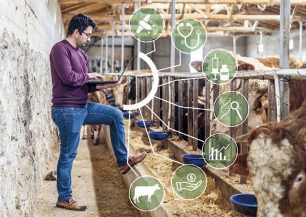 REDIGA: Red de investigation en ganaderia de precision y digitalization animal - Image 1