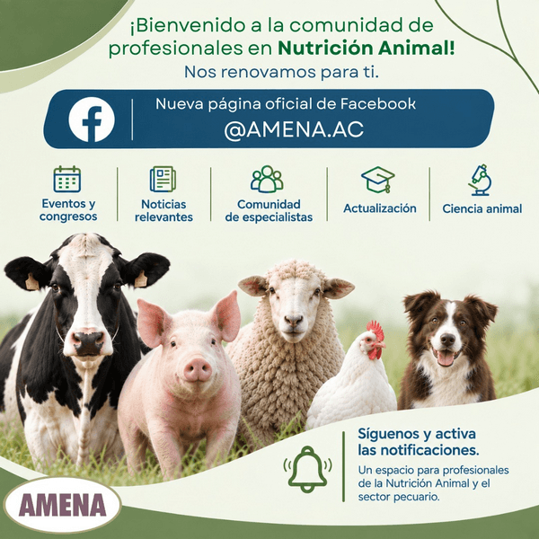 Nueva página oficial de AMENA - Asociación Mexicana de Especialistas en Nutrición Animal - Image 1