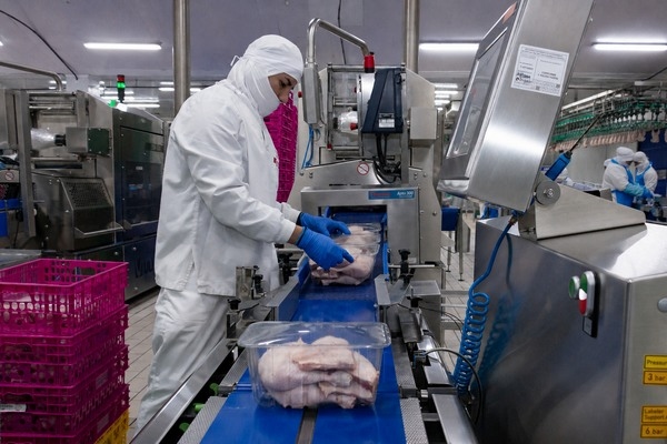 Pujante obtiene el certificado ‘Aves de España’ - Image 1