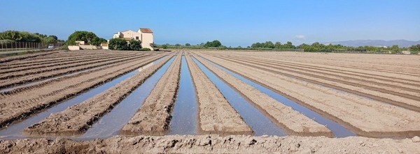 España - IRTA pone a debate el uso del agua regenerada en el sector agroalimentario - Image 1