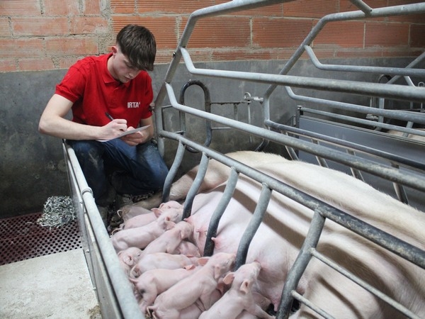 España - Santiago de Compostela será sede de los Premios Porc d’Or de Capa Blanca - Image 3