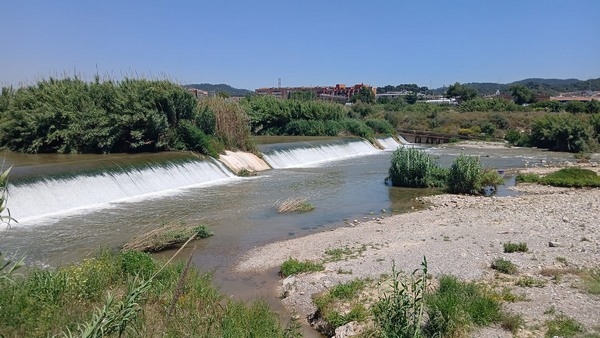 España - IRTA pone a debate el uso del agua regenerada en el sector agroalimentario - Image 2