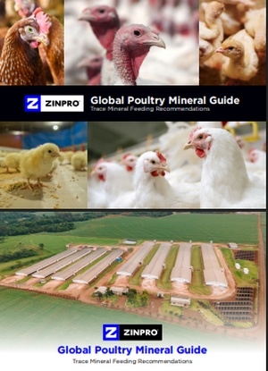 Guía global de minerales para avicultura, Presentan versión actualizada - Image 1