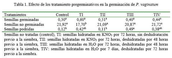 Efecto de tratamientos pregerminativos sobre la semilla de Paspalum vaginatum cv. Sea Spray - Image 2