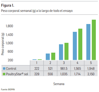 Reducción del impacto del estrés calórico mediante el uso de simbióticos - Image 1