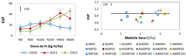 Figura 1. Eficiencia de uso de P (EUP, 1a, medias ± desvío estándar) e índice de nutrición fosforada medio (INP, 1b) de rebrotes inverno primaverales fertilizados con 6 niveles de N (N0, N50, N100, N200, N400 y N600 kgN/ha) y 3 niveles de P (P0, P50, P100 kgP/ha). de 2 años (2020 y 2021) cada uno con 5 fechas de registro. La barra indica las diferencias mínimas significativas (LSD).