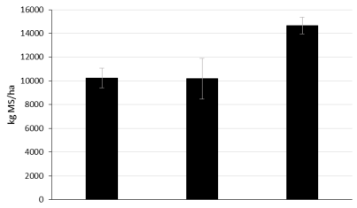 Figura 1. Producción de forraje (kg MS/ha) acumulado total de 2 años de evaluación de Tetrachne degrei (TD), TD consociada con Vicia villosa (TD+Vicia) y TD fertilizado con 50 kg de nitrógeno (TD 50N). Las barras verticales indican ± 1 error estándar de la media de tratamiento.