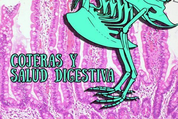 ¿Problemas de cojeras? Sus aves podrían sufrir el “síndrome del intestino permeable» - Image 1