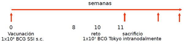 Identificación de biomarcadores de resistencia natural a Mycobacterium bovis en el ganado bovino - Image 28