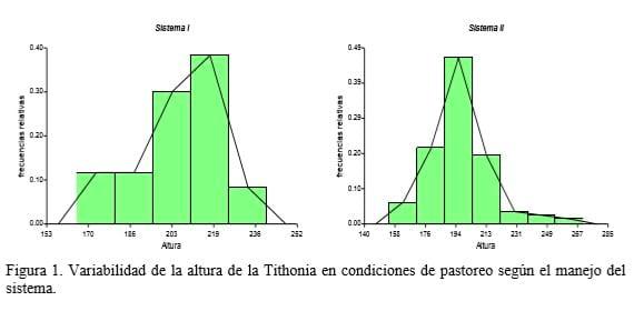 Caracterización de Tithonia diversifolia en un Sistema Silvopastoril con gramíneas asociadas - Image 2