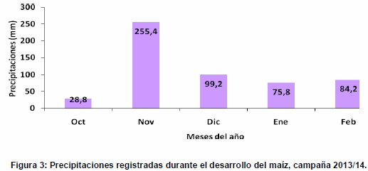 Evaluación de aplicación de residuos sólidos de tambo en cultivo de maíz - Image 4