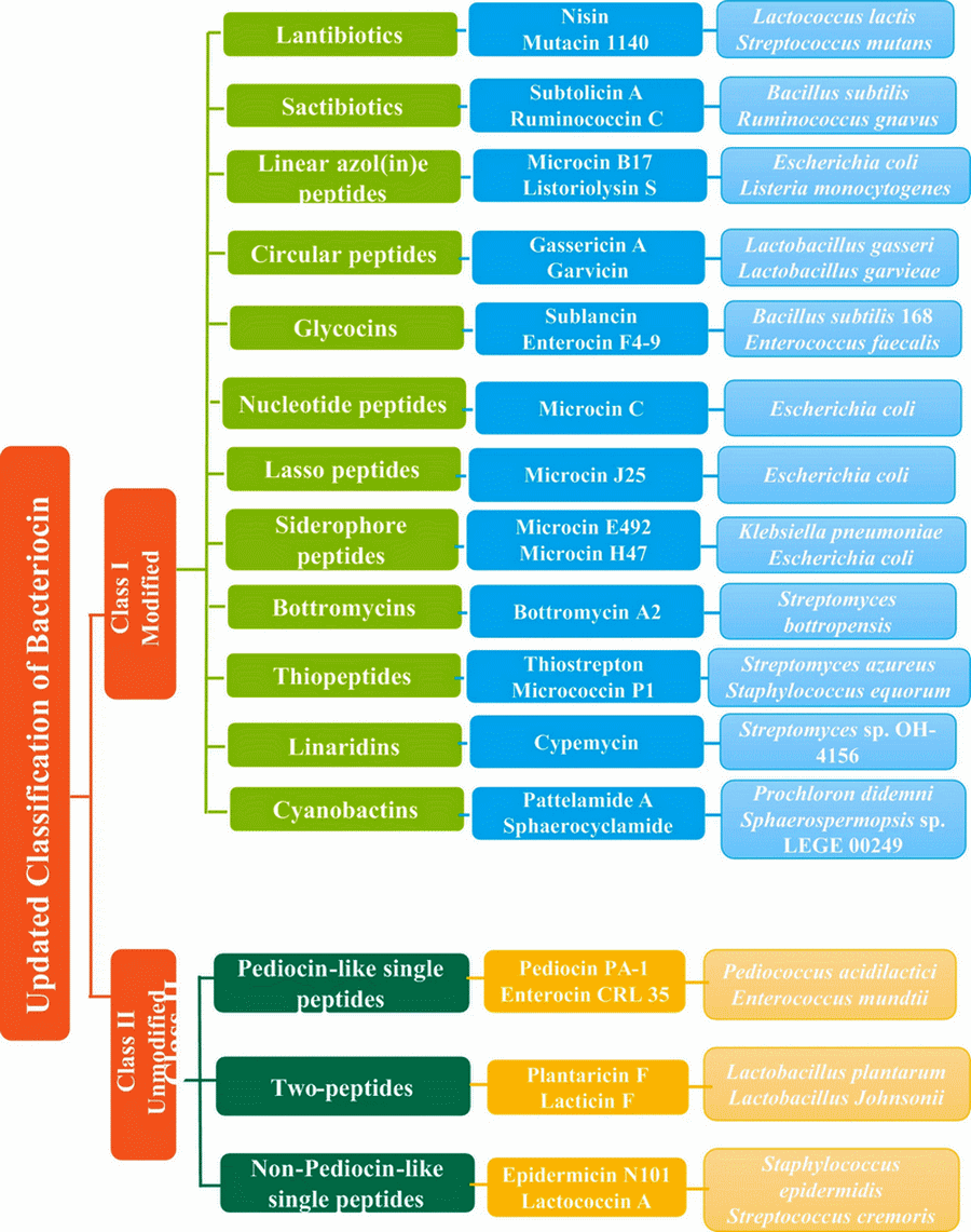 Bacteriocins: potentials and prospects in health and agrifood systems - Image 1