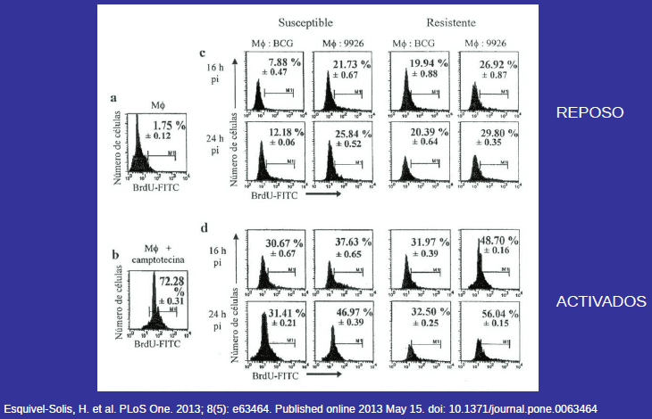 Identificación de biomarcadores de resistencia natural a Mycobacterium bovis en el ganado bovino - Image 15