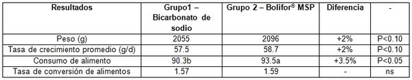 Pollos de engorde: Fuente de sodio y fósforo altamente disponible y libre de cloro - Image 1
