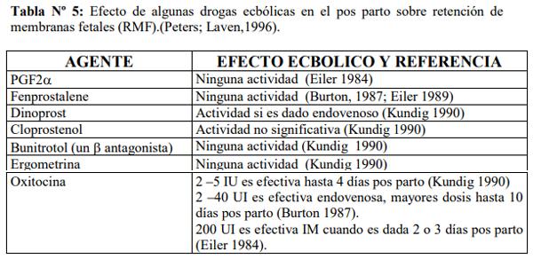 Obstetricia y neonatología bovina: XIII. Puerperio Patológico - Image 1