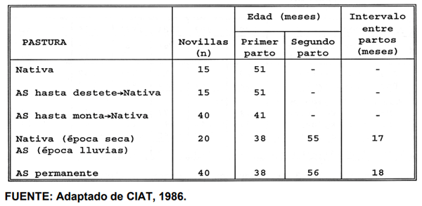  CUADRO 4. Promedio de edad al primero y segundo parto en novillas levantadas en pastoreo de pastura nativa o de una asociación A. gayanus + S. capitata (AS) y tres diferentes combinaciones de pastoreo.