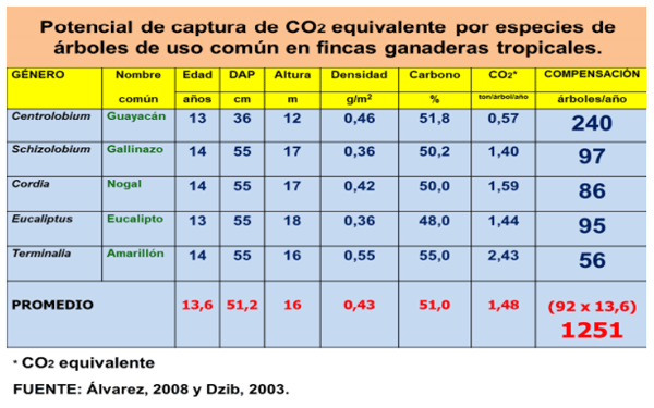 CUADRO 2.