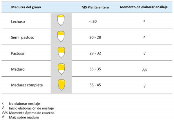 Manual del cultivo de maíz para ensilaje - Ensilaje: Sexto Capítulo - Image 2