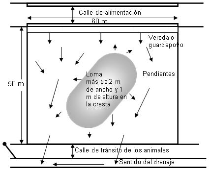 Diseño de corrales - Image 4