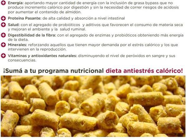 Cómo proteger la productividad ante el estrés calórico en vacas lecheras - Image 1