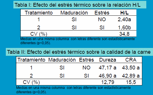 Efecto del estrés calorico sobre la relación heterofilo linfocito y la calidad de carne de aves - Image 3