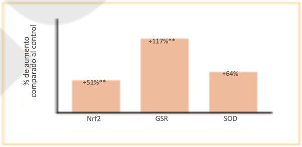 Fig. 2. Regulación al alza de genes relacionados con la vía Nrf2 en respuesta a un activador de agilidad intestinal en ovarios de gallinas ponedoras a 28 semanas de edad (% de aumento comparado al control, **P&lt;0.01, Mountzouris et al. Universidad Agrícola de Atenas, datos no publicados, GSR=glutatión reductasa, SOD=superóxido dismutasa.