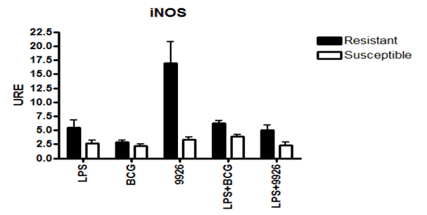 Identificación de biomarcadores de resistencia natural a Mycobacterium bovis en el ganado bovino - Image 12