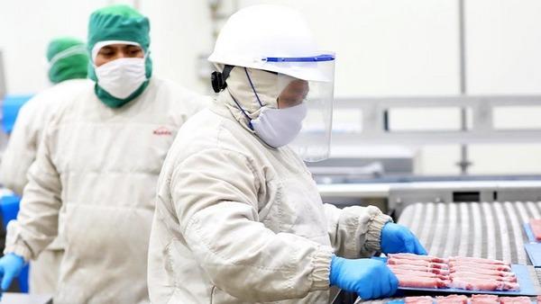Métodos de congelación, sello de innovación de Kekén para la calidad de la carne de cerdo - Image 1