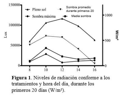 Crecimiento del Axonopus jesuiticus bajo diferentes niveles de sombra de Inga uruguensis en estado de SC, Brasil. - Image 1