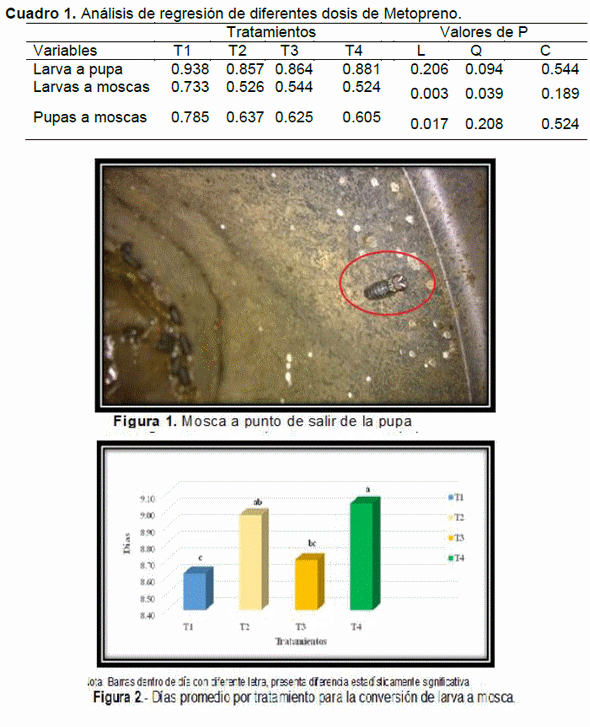 Evaluación de diferentes dosis de metopreno sobre la metamorfosis de la mosca (musca domestica) en ganado lechero - Image 1