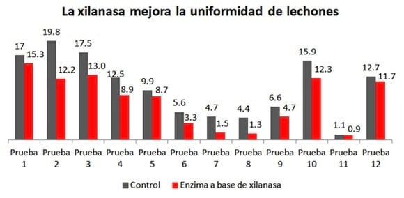 Nutrición para vitalidad y uniformidad en los lechones - Image 2
