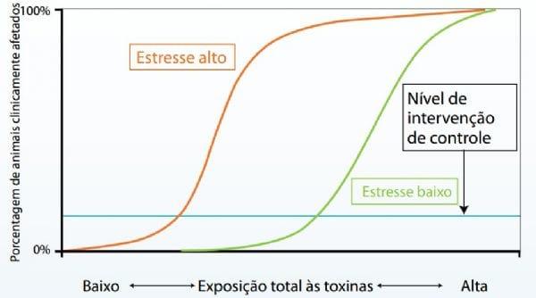 Fitobiótico: La fórmula para conseguir el máximo beneficio en producción animal - Image 3