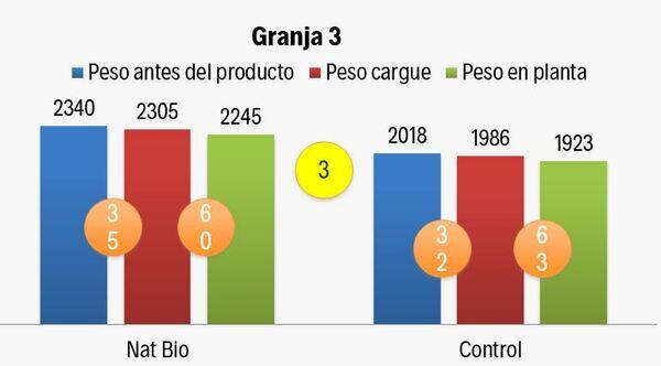 Caso de éxito en Pollo de Engorde Natbio Balance - Image 4
