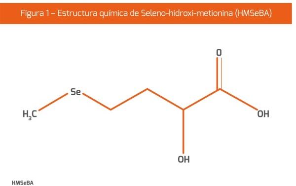 El estrés oxidativo y el metabolismo antioxidante - Image 1