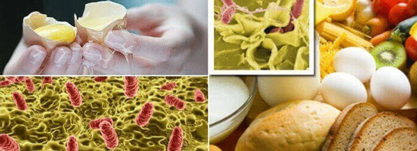 La salmonelosis afecta a los animales y humanos, ocasionando diversos trastornos entéricos y en ocasiones sistémicos.