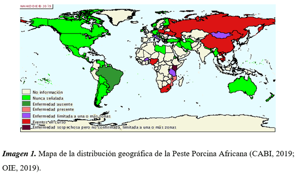 Importancia de la bioseguridad de las granjas porcinas y la presencia de enfermedades emergentes: con énfasis en Peste Porcina Africana - Image 1