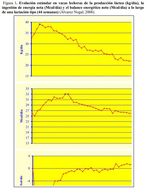 Evolución de la fertilidad en el ganado vacuno lechero. Síndrome de Vaca Repetidora - Image 2