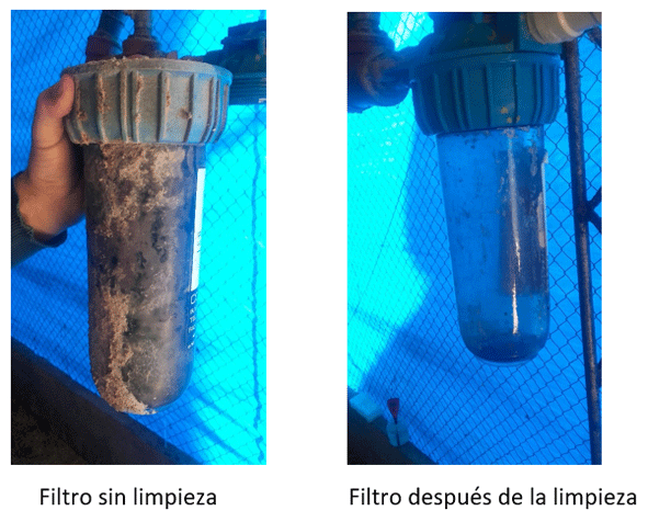 limpieza de filtros
