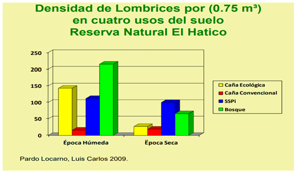 FIGURA 9. FUENTE: Molina, C.H. 2012.