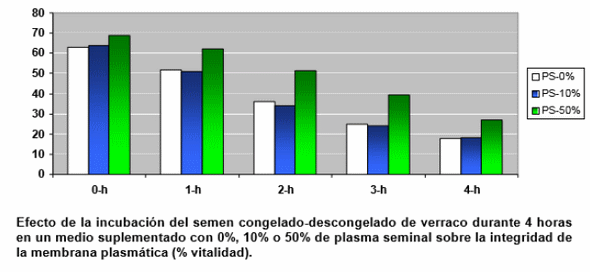 Avances para mejorar los resultados reproductivos en porcino utilizando semen criopreservado - Image 1