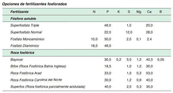 FORRAJERAS - Sistema de siembra - Image 20