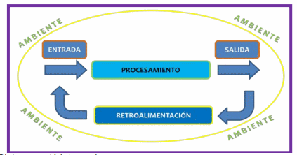 Compras: una de las llaves del éxito para los programas nutricionales - Image 1
