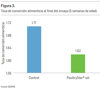 Reducción del impacto del estrés calórico mediante el uso de simbióticos - Image 3