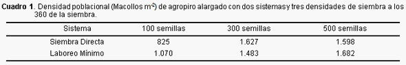 Cómo producir forrajes en bajos alcalinos con prácticas simples - Image 2