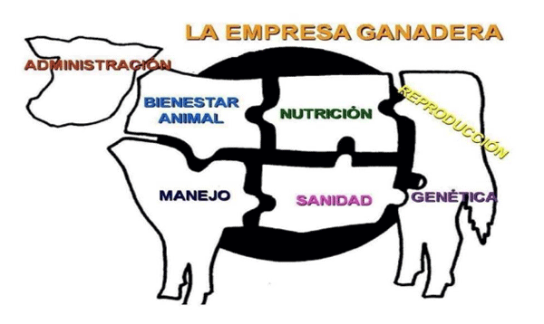 LA EMPRESA GANADERA