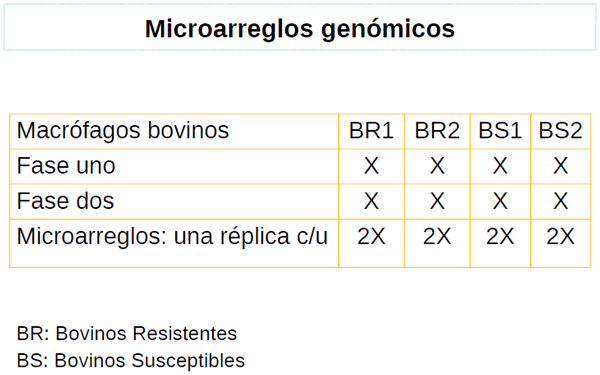 Identificación de biomarcadores de resistencia natural a Mycobacterium bovis en el ganado bovino - Image 17