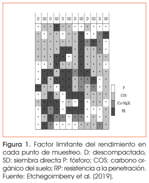 Identificación de factores limitantes del rendimiento de una secuencia de cultivos - Image 2