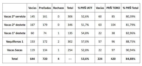 Programa de Mineralización Inyectable en vacas Paridas - Image 1