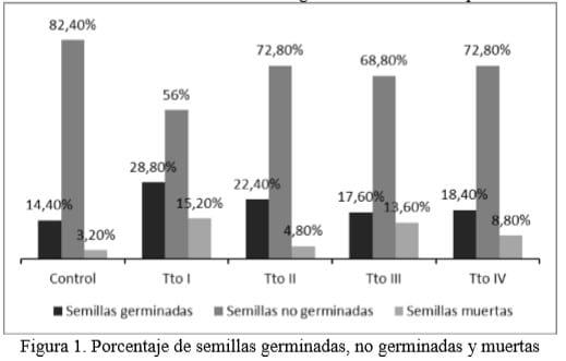 Efecto de tratamientos pregerminativos sobre la semilla de Paspalum vaginatum cv. Sea Spray - Image 1