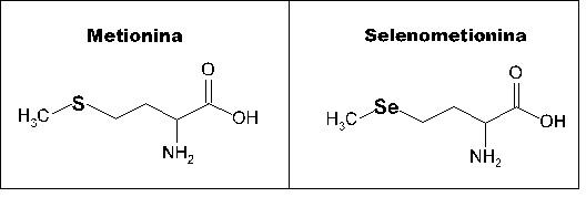 ¿Cómo diferenciar las fuentes de selenio disponibles para la industria animal? - Image 1